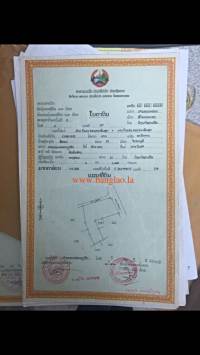 T00217